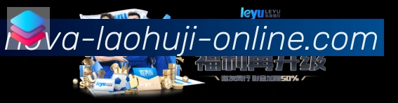 未来规划